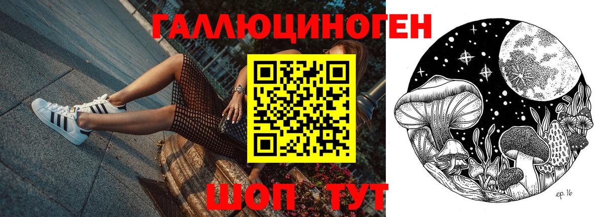 Псилоцибиновые грибы мухоморы Ейск
