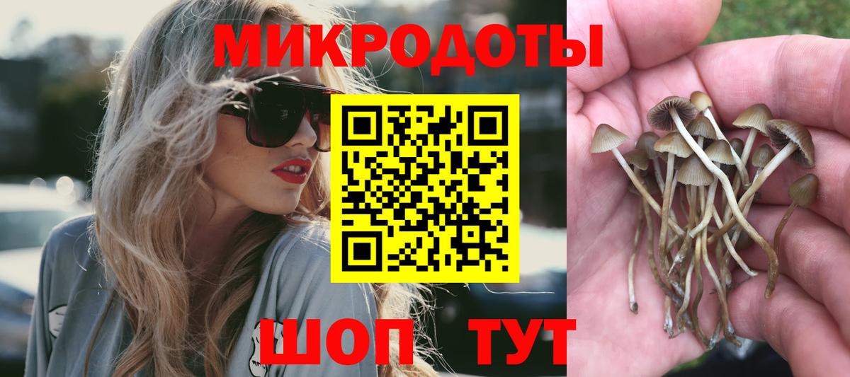 Псилоцибиновые грибы мухоморы  Вход с VPN  Псилоцибиновые грибы GOLDEN TEACHER  Ейск 
