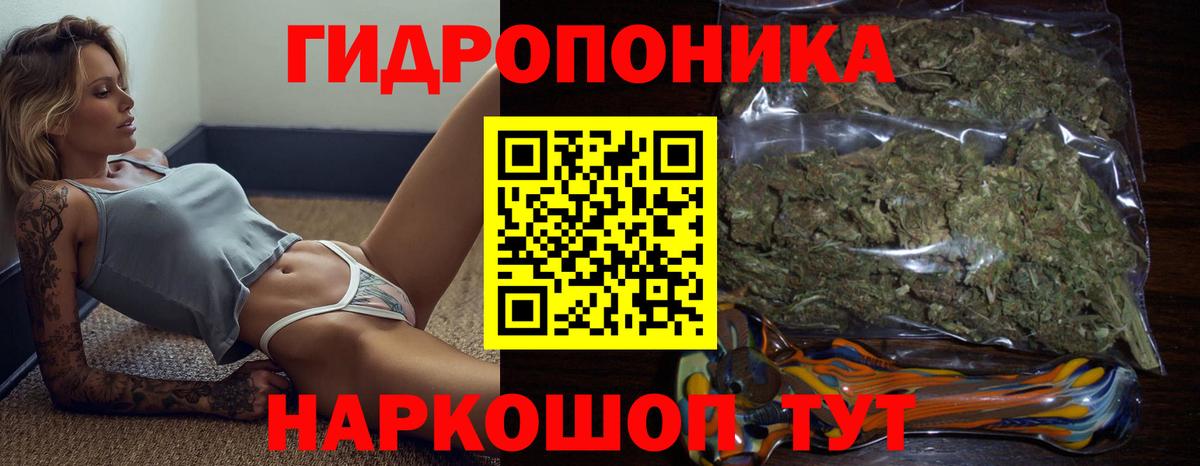 Бошки марихуана SATIVA & INDICA Ейск
